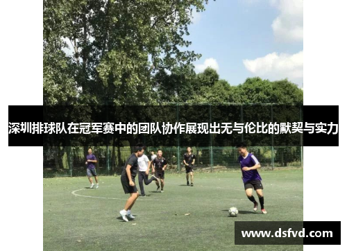 深圳排球队在冠军赛中的团队协作展现出无与伦比的默契与实力