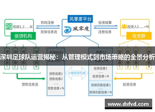 深圳足球队运营揭秘：从管理模式到市场策略的全景分析