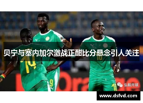 贝宁与塞内加尔激战正酣比分悬念引人关注